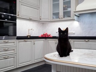 Белая кухня из дуба Белла